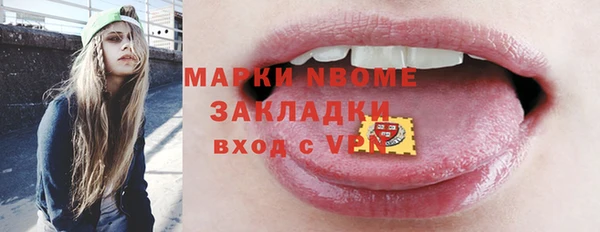 стаф Алзамай