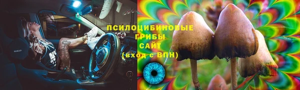 стаф Алзамай