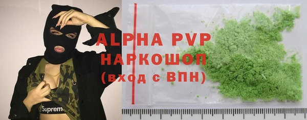 стаф Алзамай