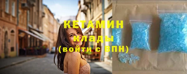 стаф Алзамай