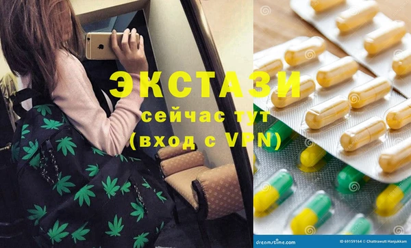 стаф Алзамай