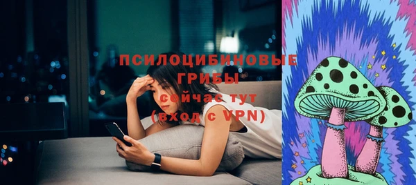 стаф Алзамай