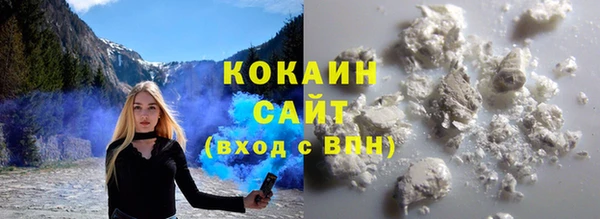 тгк Алексин