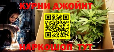 ГАЛЛЮЦИНОГЕННЫЕ ГРИБЫ Аргун