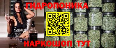 ГАЛЛЮЦИНОГЕННЫЕ ГРИБЫ Аргун
