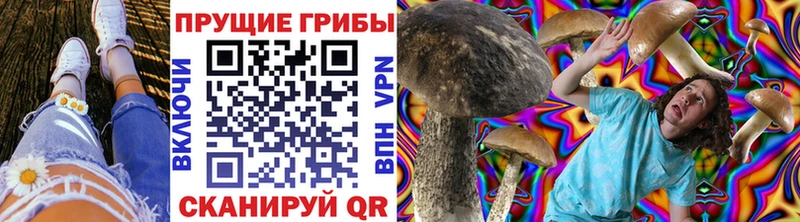 Псилоцибиновые грибы прущие грибы  Асино 