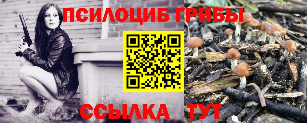 Галлюциногенные грибы Psilocybe  Вход с VPN  Асино 