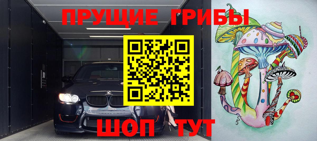 Псилоцибиновые грибы ЛСД Асино